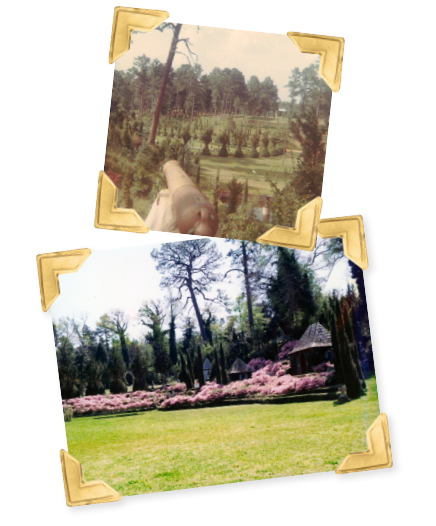 Two old pictures of the gardens