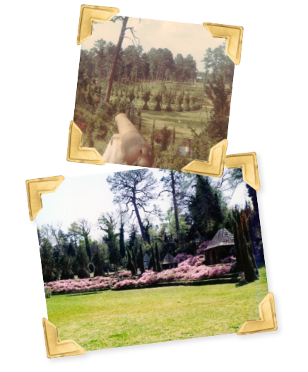 Two old pictures of the gardens