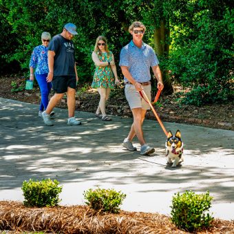 Cutest Dog Contest Spring 2026