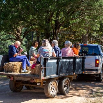 A group of people riding in the back of a truck.