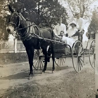 A horse and carriage with people in it.